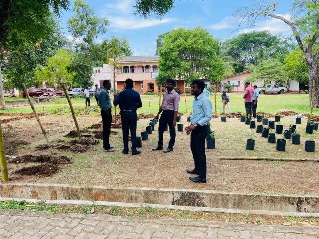 Home Gardening at Vavuniya District Secretariat-25.08.2022